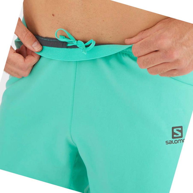 Salomon CROSS 5'' Shorts Herr Mintgröna | LSDVJQR-39