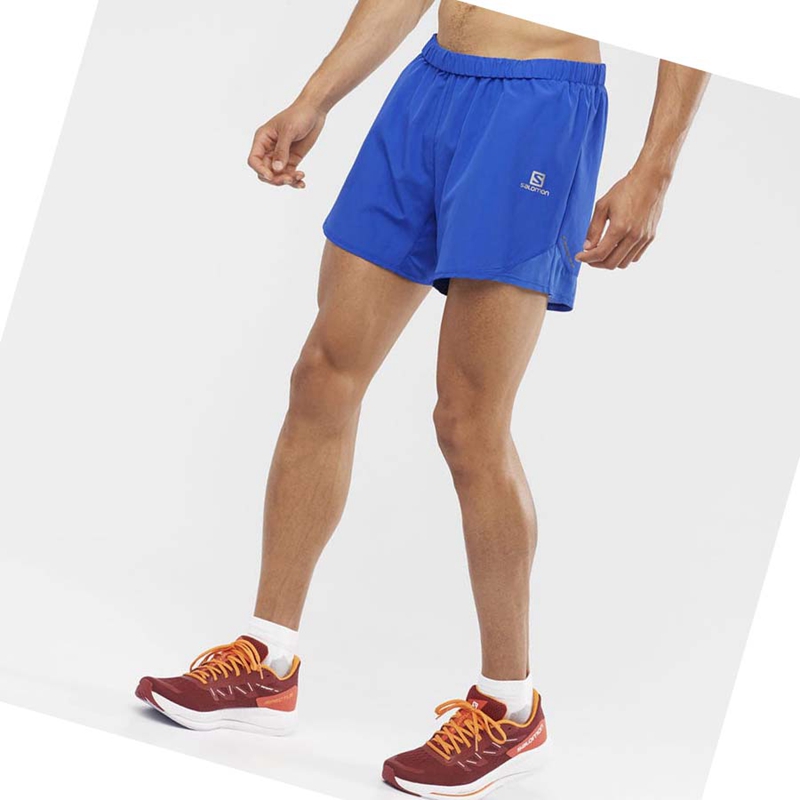 Salomon CROSS REBEL 5'' Shorts Herr Blå | SBCQORX-02