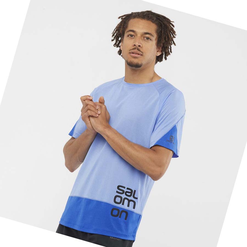 Salomon CROSS RUN GRAPHIC T-shirt Herr Blå | XJUTVIF-63