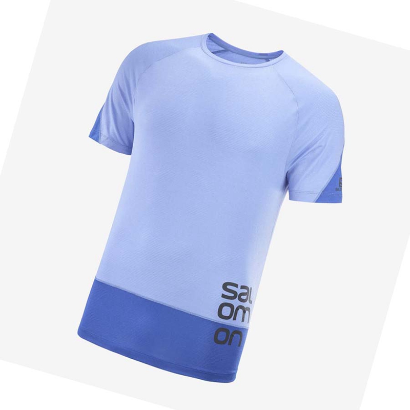 Salomon CROSS RUN GRAPHIC T-shirt Herr Blå | XJUTVIF-63