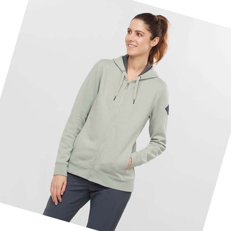 Salomon ESSENTIAL WARM SALOMON Hoodie Dam Beige | GLBSPIV-05