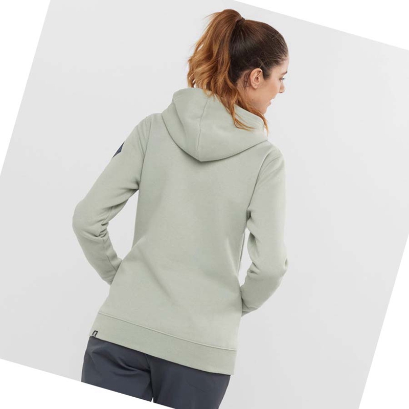 Salomon ESSENTIAL WARM SALOMON Hoodie Dam Beige | GLBSPIV-05