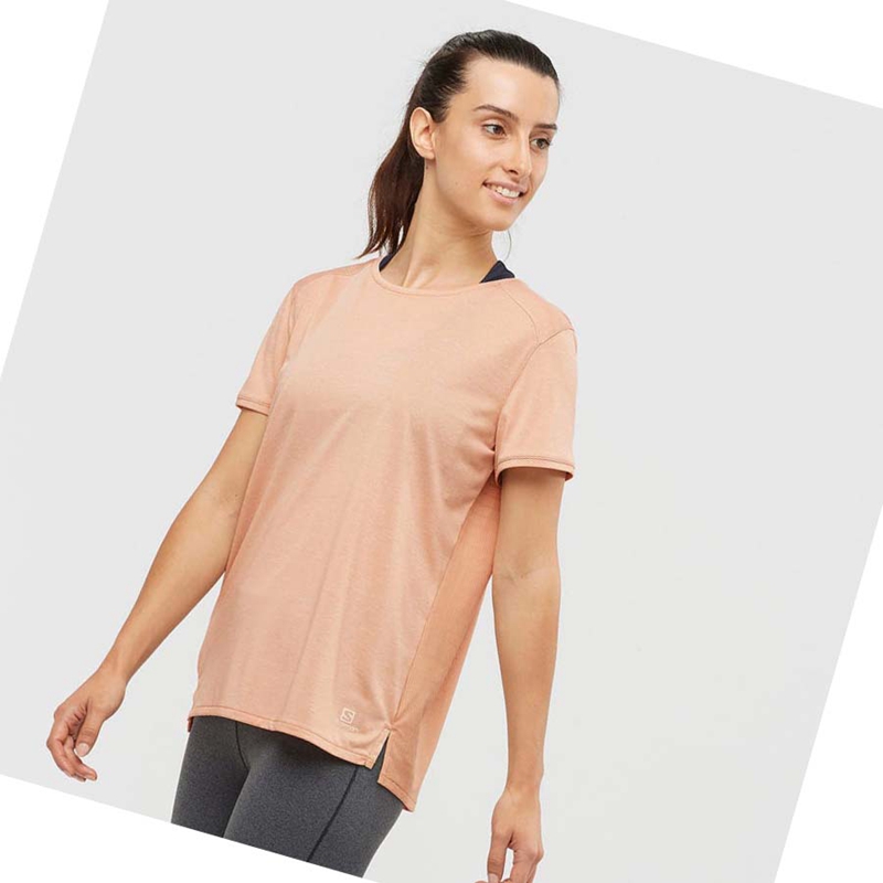 Salomon OUTLINE SUMMER T-shirt Dam Beige | JATMXRW-73