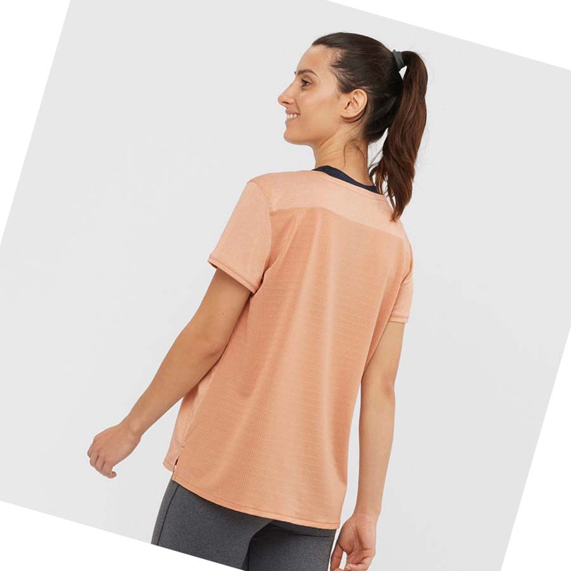 Salomon OUTLINE SUMMER T-shirt Dam Beige | JATMXRW-73