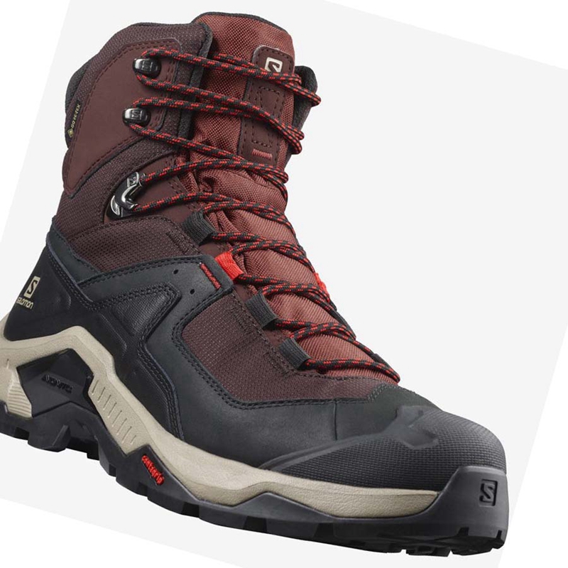 Salomon QUEST ELEMENT GORE-TEX Vandringsskor Herr Grå Röda | EULINQP-01