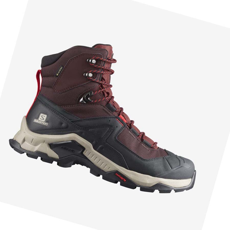 Salomon QUEST ELEMENT GORE-TEX Vandringsskor Herr Grå Röda | EULINQP-01