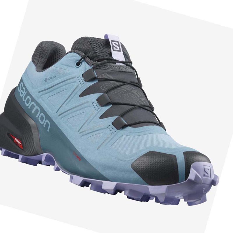 Salomon SPEEDCROSS 5 GORE-TEX Trail löparskor Dam Bruna | FIDSNUO-32