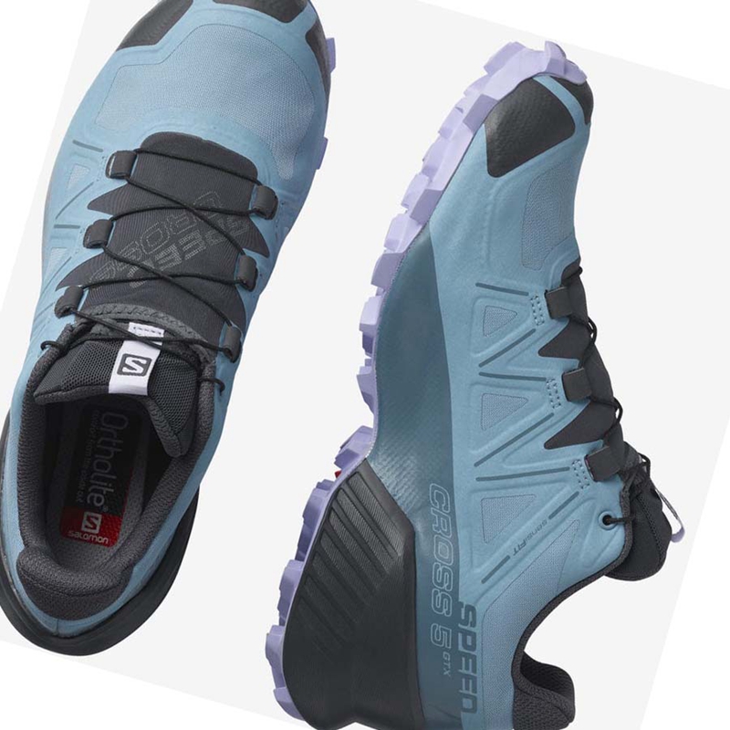 Salomon SPEEDCROSS 5 GORE-TEX Trail löparskor Dam Bruna | FIDSNUO-32