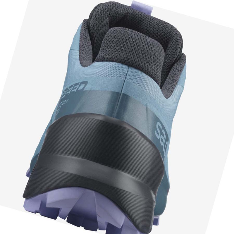 Salomon SPEEDCROSS 5 GORE-TEX Trail löparskor Dam Bruna | FIDSNUO-32