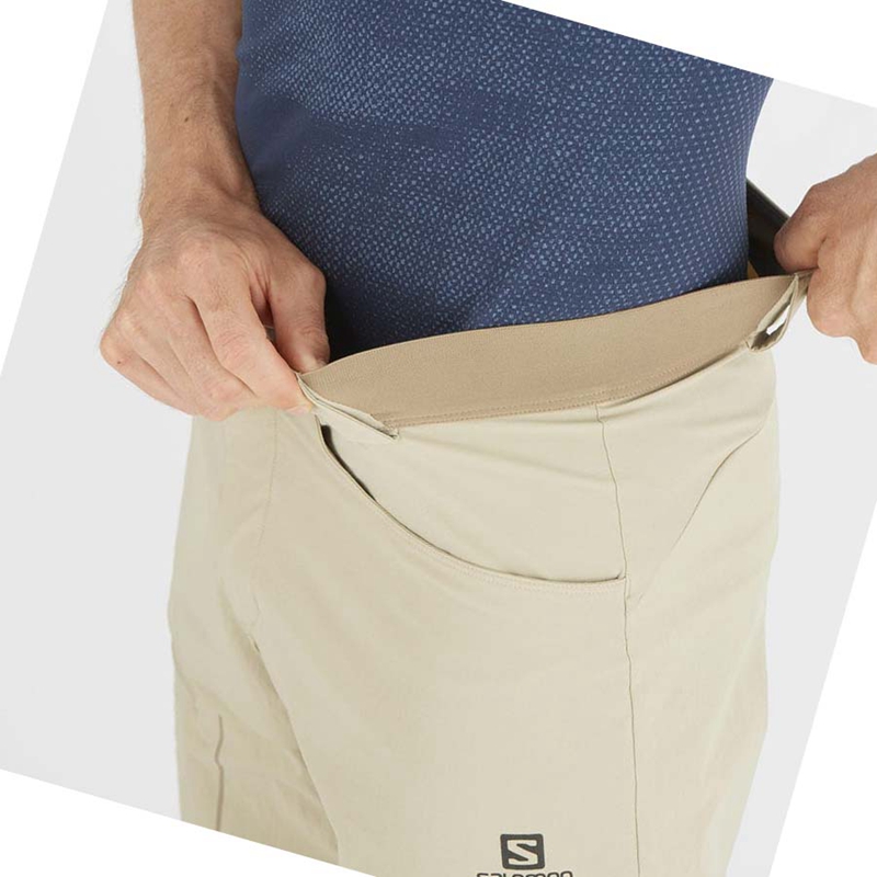 Salomon WAYFARER Shorts Herr Beige | UYGSXNO-87