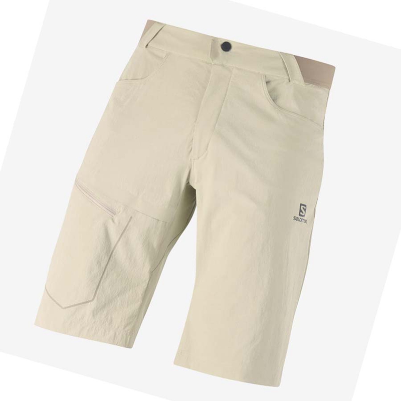 Salomon WAYFARER Shorts Herr Beige | UYGSXNO-87