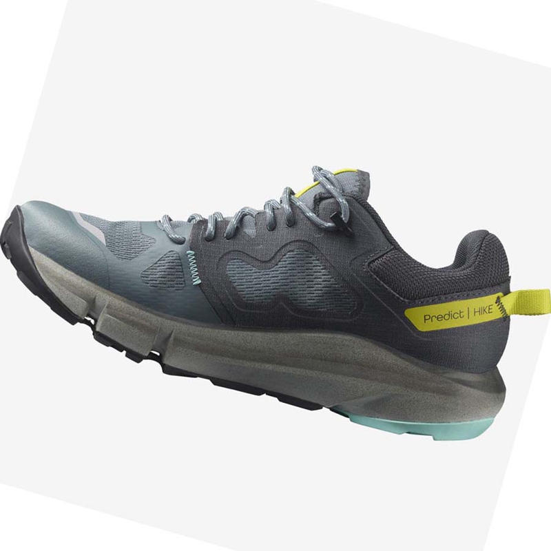 Salomon WoPREDICT HIKE GORE-TEX Vandringsskor Dam Silver | JOGYQCP-97