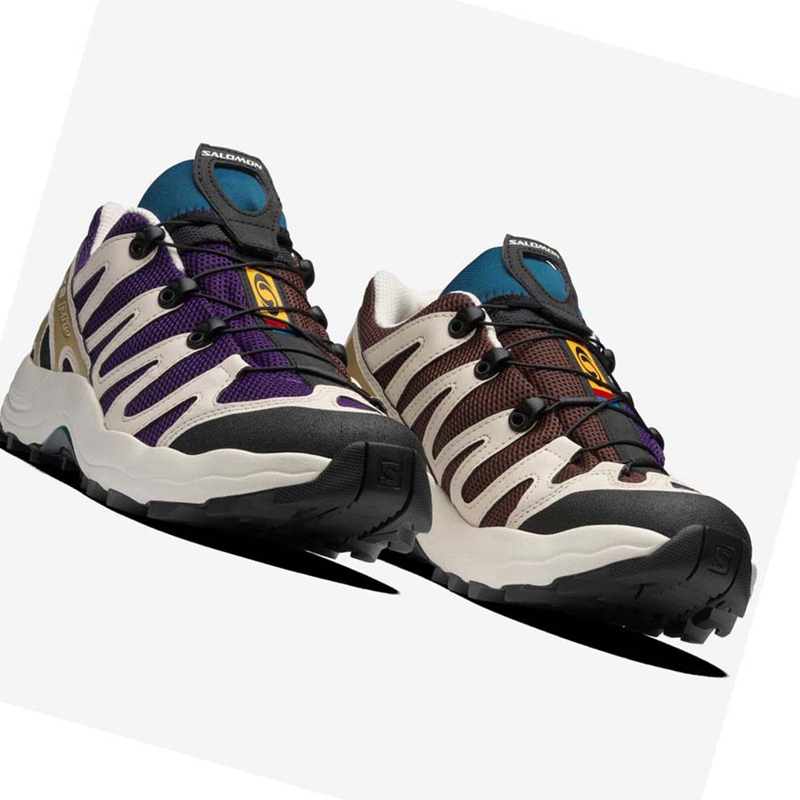 Salomon XA PRO 1 Sneakers Herr Lila Choklad Blå | HVQCOXT-57