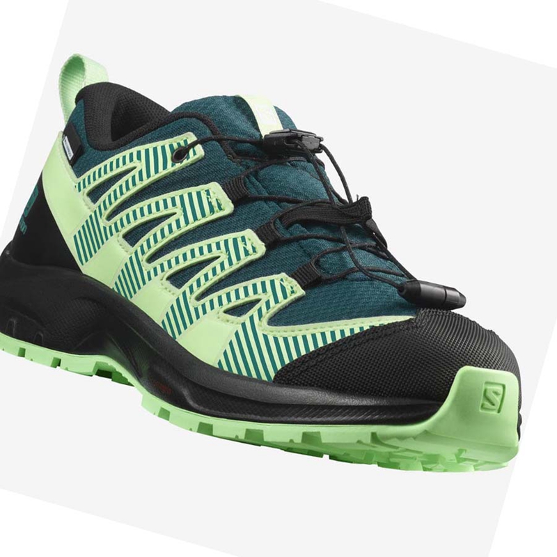 Salomon XA PRO V8 CLIMASALOMON™ WATERPROOF Vandringsskor Barn Gröna | BCKWFZQ-91