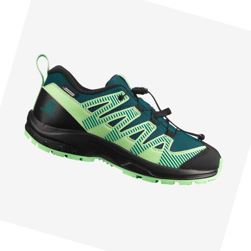 Salomon XA PRO V8 CLIMASALOMON™ WATERPROOF Vandringsskor Barn Gröna | BCKWFZQ-91