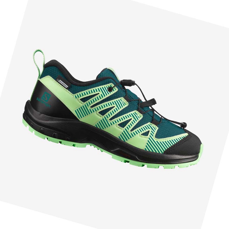 Salomon XA PRO V8 CLIMASALOMON™ WATERPROOF Trail löparskor Barn Gröna | ILVZQUP-85