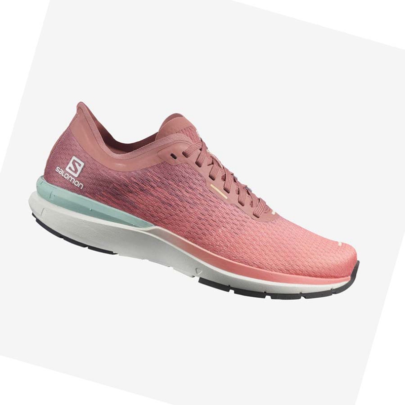 Salomon SONIC 4 Löparskor Dam Rosa | IJESNVU-05