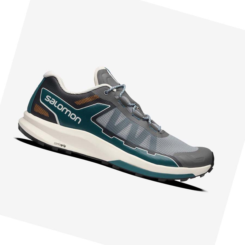 Salomon ULTRA RAID Sneakers Dam Grå | BPKUZGC-69